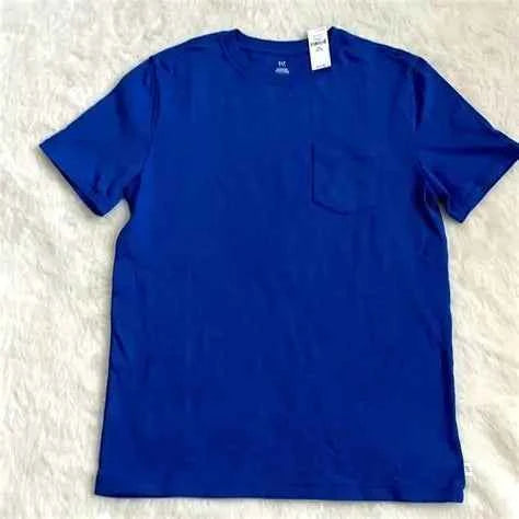 Gap Mens Royal Blue T Shirt (Medium)