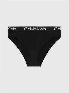 Calvin Klein womans Signature Bikina Briefs XL